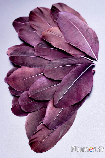 Blütenblätter aus Federn - 6-8 cm x 3-4 cm- kaffee